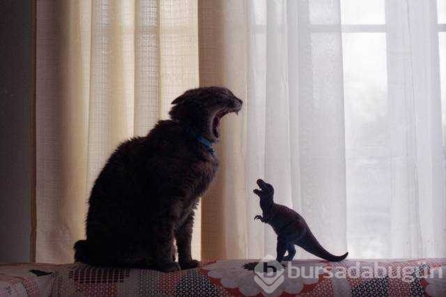 Günün en çok paylaşılan fotoğrafları