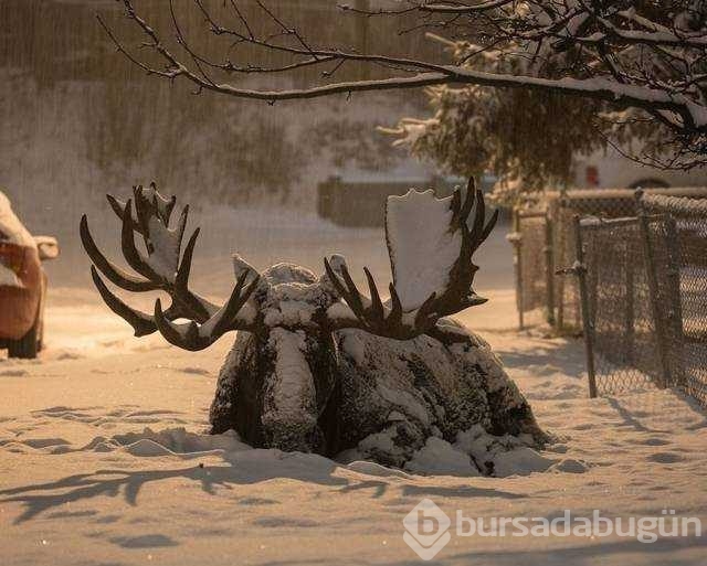 Günün en çok paylaşılan fotoğrafları