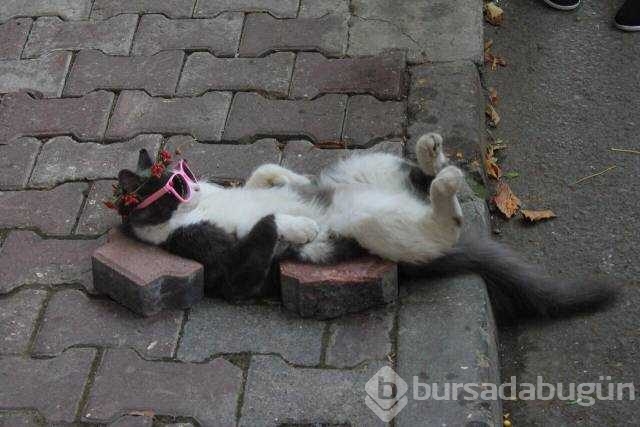 Günün en çok paylaşılan fotoğrafları