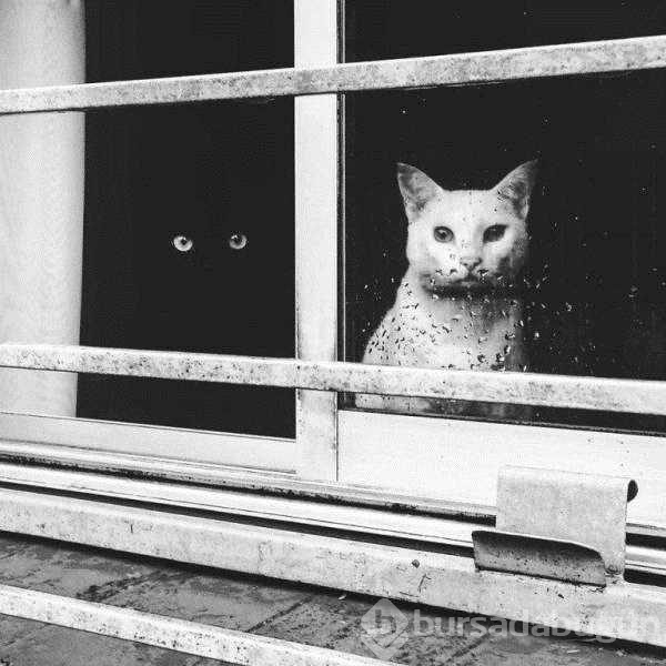 Günün en çok paylaşılan fotoğrafları