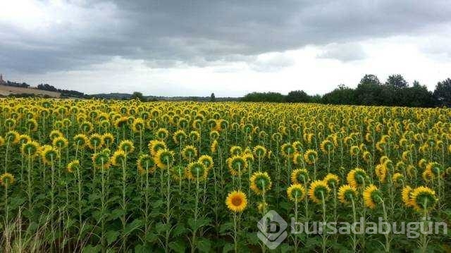 Günün en çok paylaşılan fotoğrafları