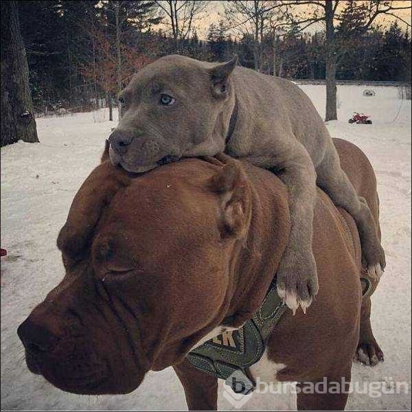 Günün en çok paylaşılan fotoğrafları