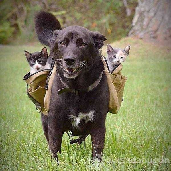 Günün en çok paylaşılan fotoğrafları