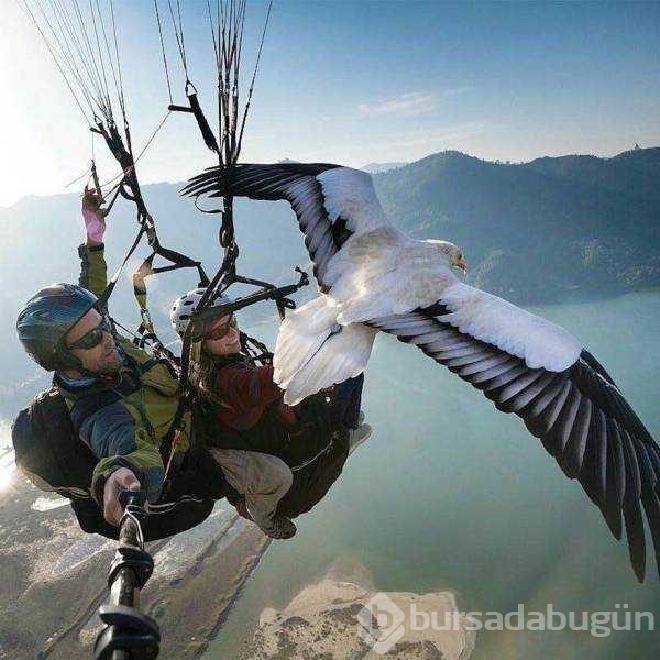Günün en çok paylaşılan fotoğrafları