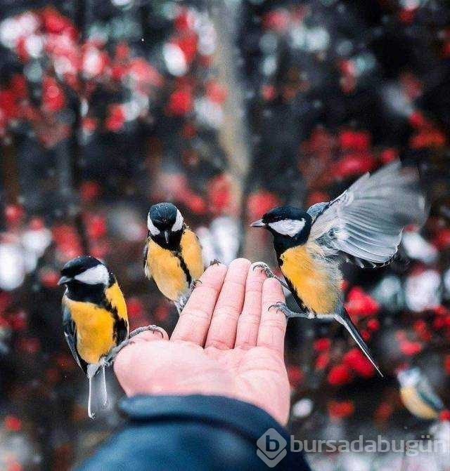 Günün en çok paylaşılan fotoğrafları