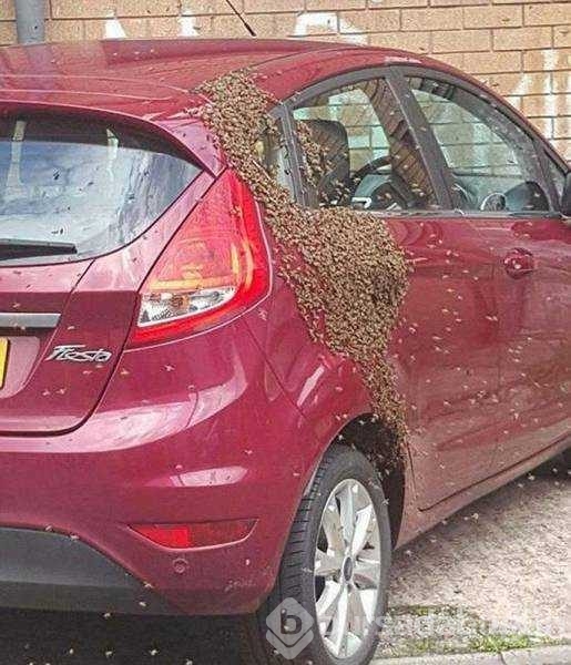 Günün en çok paylaşılan fotoğrafları