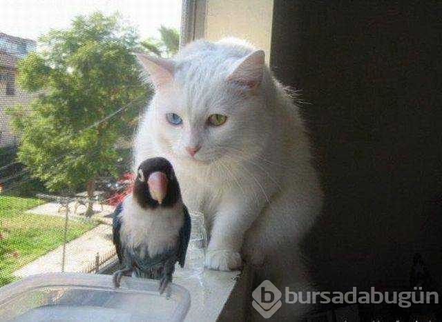 Günün en çok paylaşılan fotoğrafları