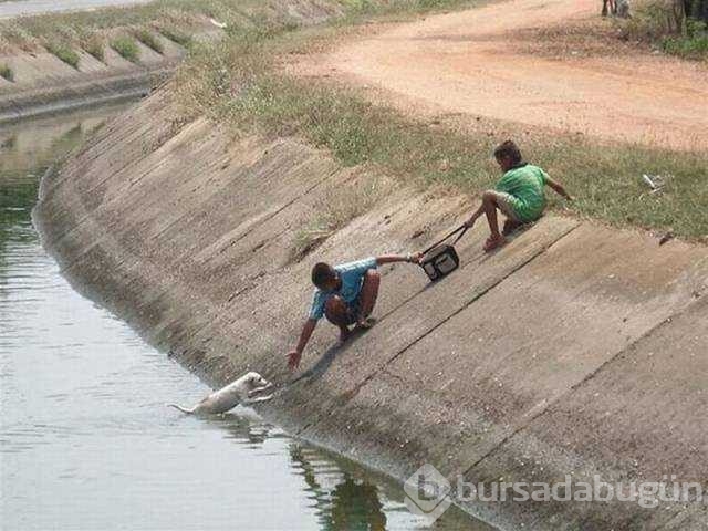 Günün en çok paylaşılan fotoğrafları