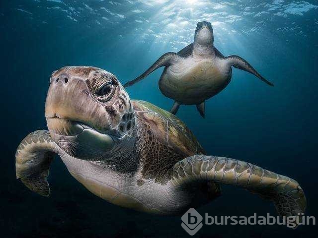 Günün en çok paylaşılan fotoğrafları