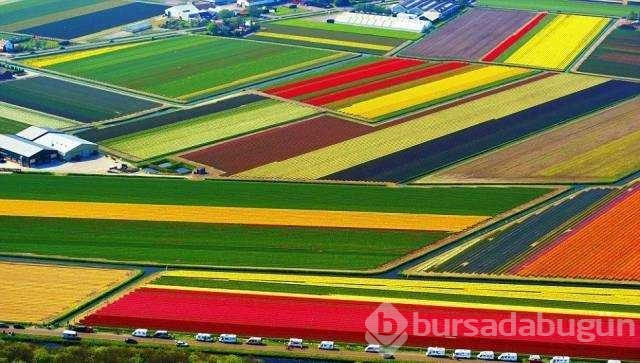 Günün en çok paylaşılan fotoğrafları