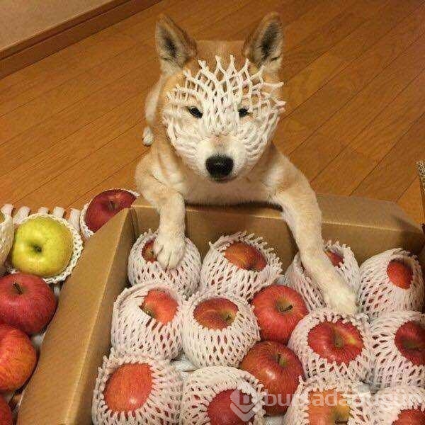 Günün en çok paylaşılan fotoğrafları
