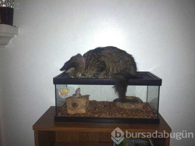 Günün en çok paylaşılan fotoğrafları
