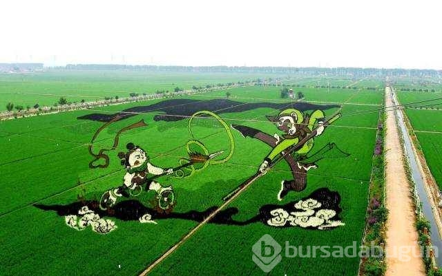 Günün en çok paylaşılan fotoğrafları
