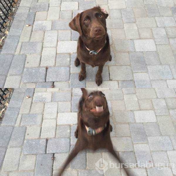 Günün en çok paylaşılan fotoğrafları