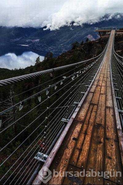 Günün en çok paylaşılan fotoğrafları