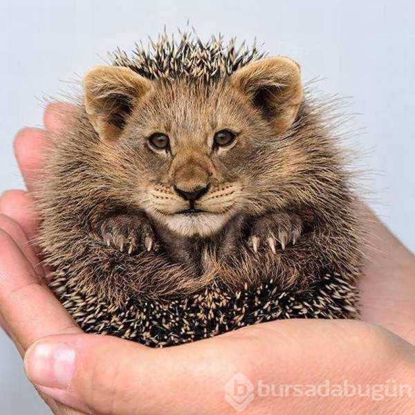Günün en çok paylaşılan fotoğrafları