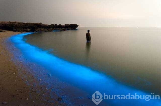 Günün en çok paylaşılan fotoğrafları