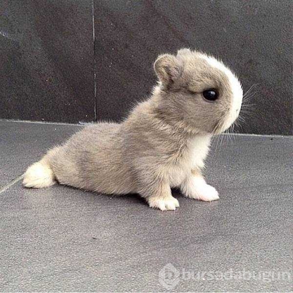 Günün en çok paylaşılan fotoğrafları