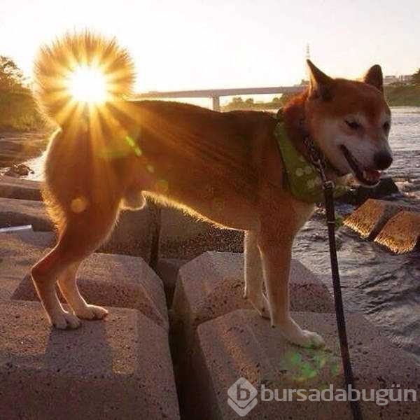 Günün en çok paylaşılan fotoğrafları