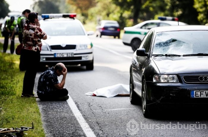 Hafızanıza kazınacak 18 Muhteşem Fotoğraf!
