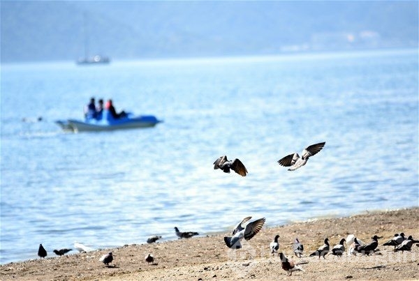 Yazın ilk görüntüleri Bodrum'dan
