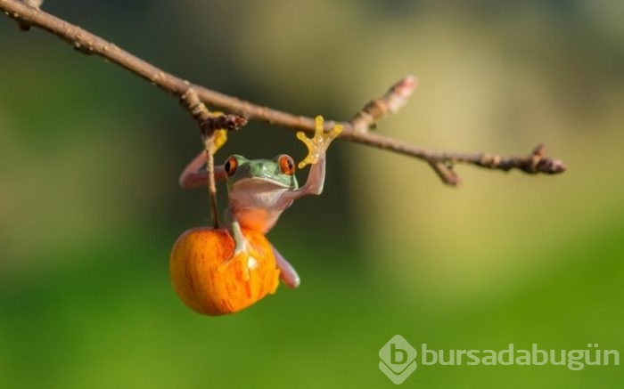 Bu fotoğrafların gerçek olduğuna inanamayacaksınız!