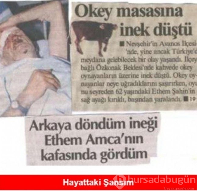 Şanssızım demeden önce bu fotoğraflara bakın 