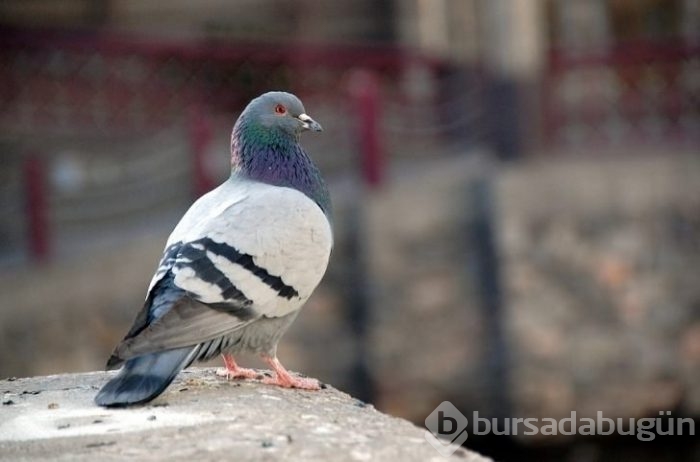 Bu teknolojik bilgileri daha önce duymadınız