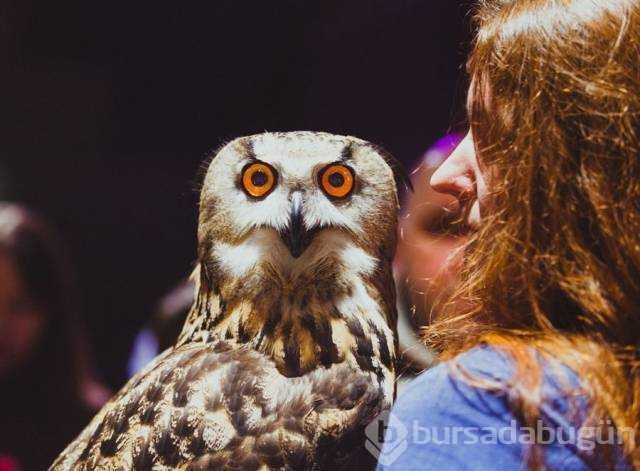 Günün en çok paylaşılan fotoğrafları