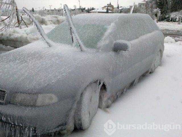Günün en çok paylaşılan fotoğrafları