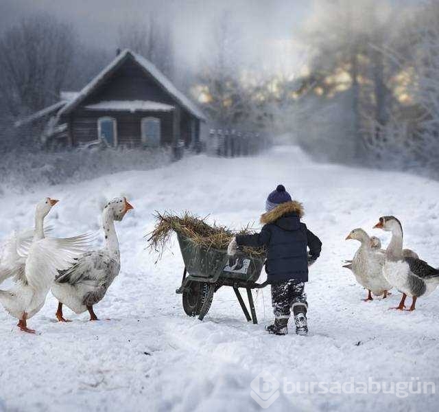 Günün en çok paylaşılan fotoğrafları
