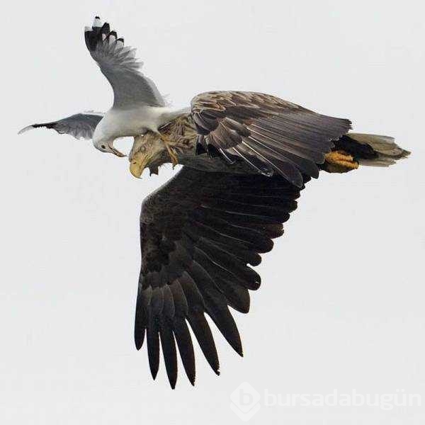 Günün en çok paylaşılan fotoğrafları