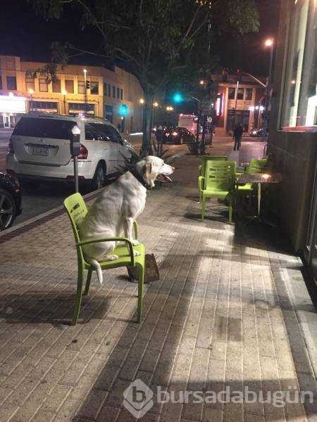 Günün en çok paylaşılan fotoğrafları