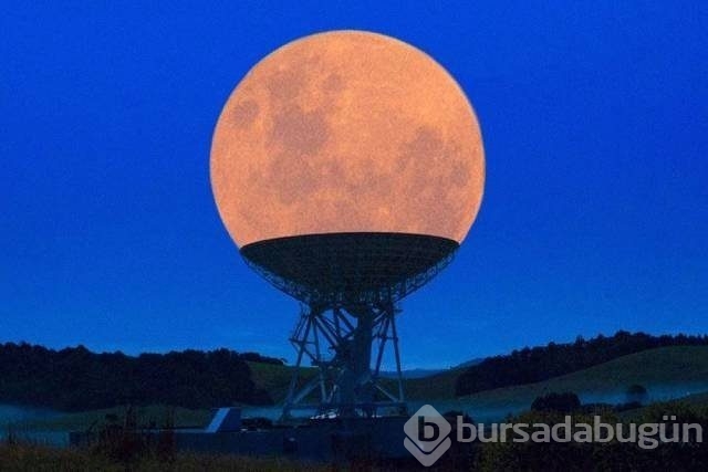 Photoshopsuz olduğuna inanamayacağınız fotoğraflar
