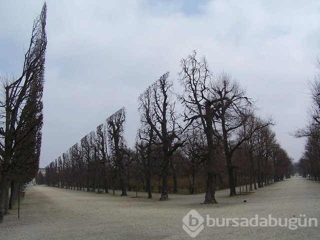 Photoshopsuz olduğuna inanamayacağınız fotoğraflar

