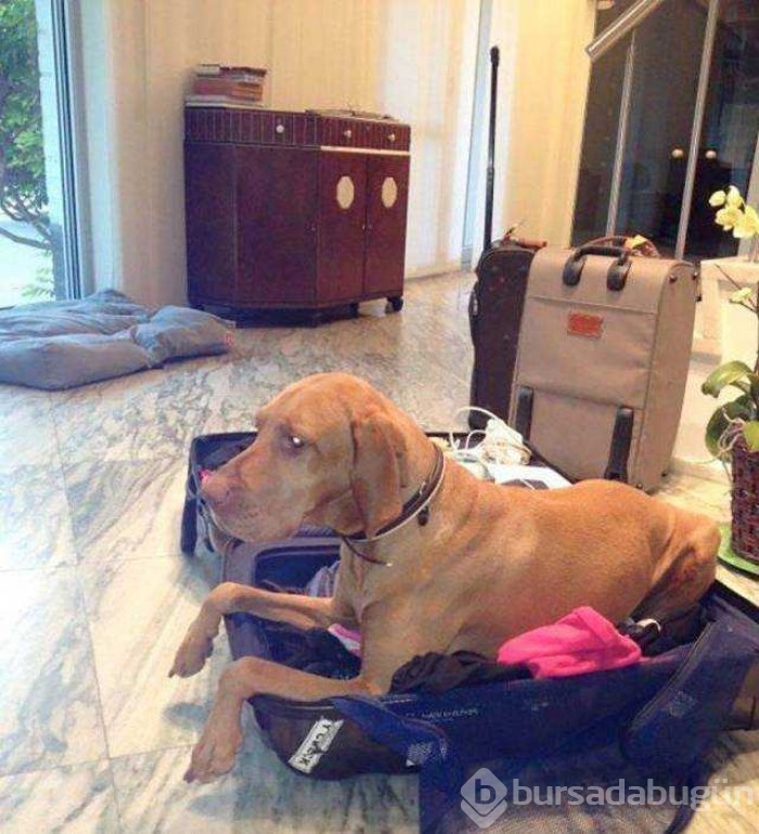 Günün en çok paylaşılan fotoğrafları