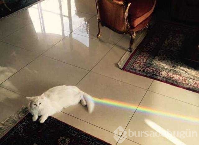 Günün en çok paylaşılan fotoğrafları