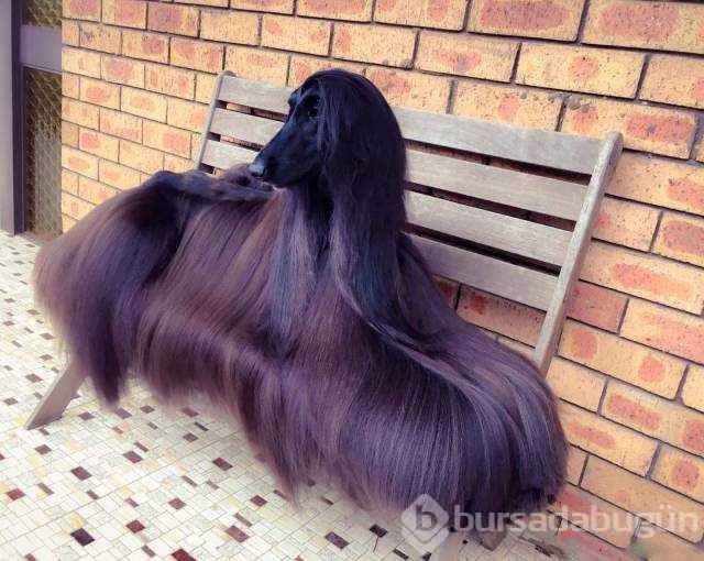 Günün en çok paylaşılan fotoğrafları