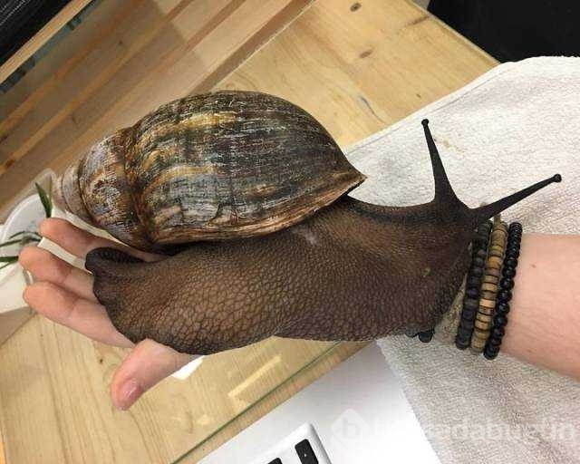 Günün en çok paylaşılan fotoğrafları