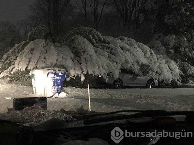 Günün en çok paylaşılan fotoğrafları