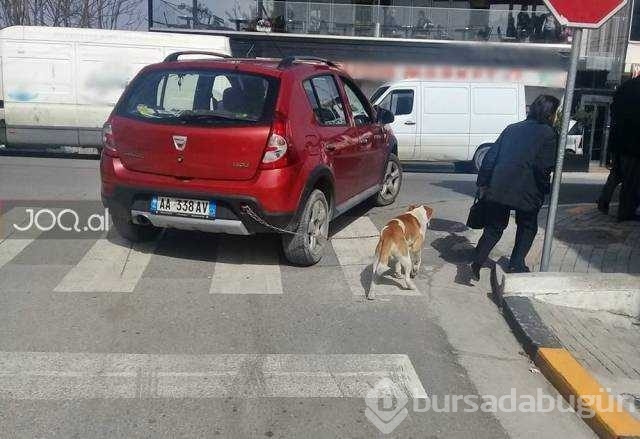 Günün en çok paylaşılan fotoğrafları