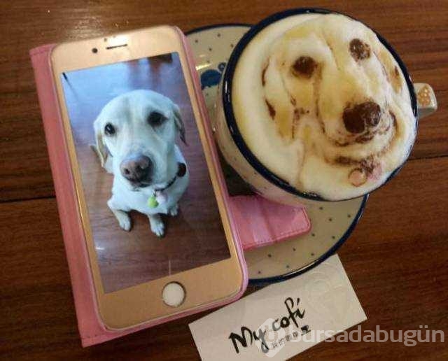 Günün en çok paylaşılan fotoğrafları