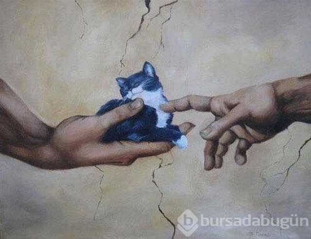 Günün en çok paylaşılan fotoğrafları