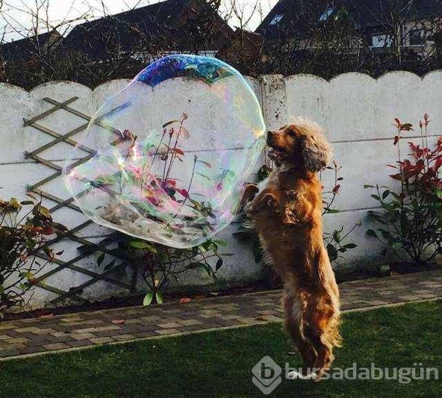 Günün en çok paylaşılan fotoğrafları