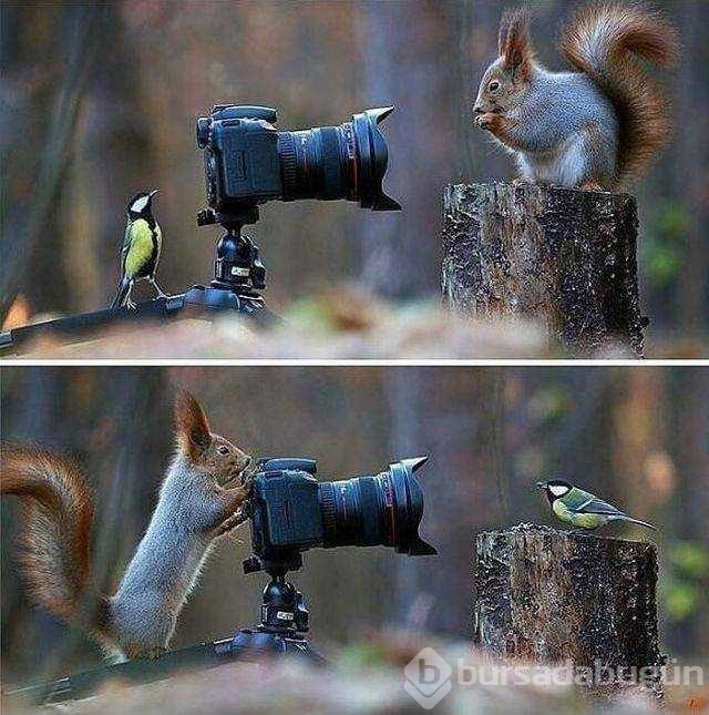 Günün en çok paylaşılan fotoğrafları