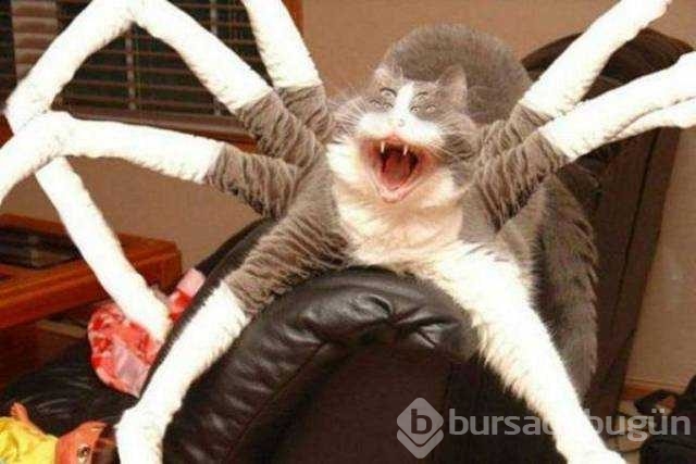Günün en çok paylaşılan fotoğrafları