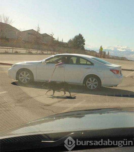 Günün en çok paylaşılan fotoğrafları