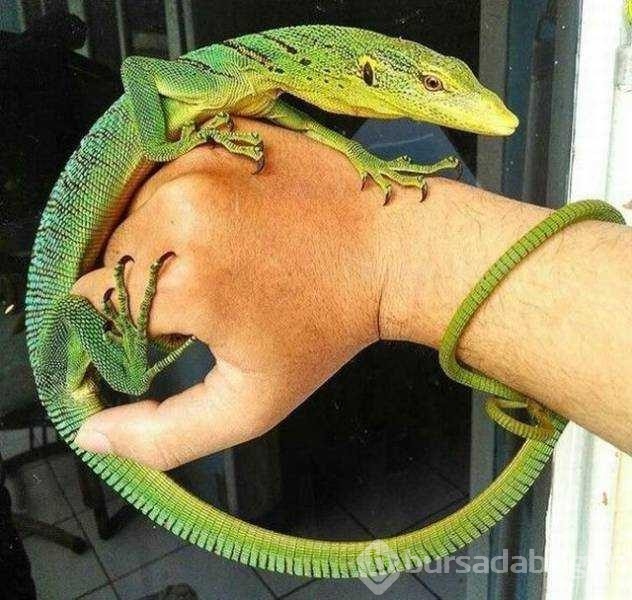 Günün en çok paylaşılan fotoğrafları