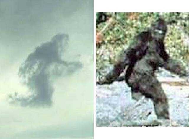 Günün en çok paylaşılan fotoğrafları