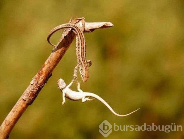 Saniyeler sonrasını çok merak edeceksiniz!
